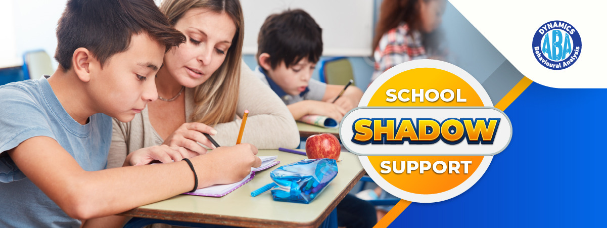 School Shadow Support